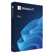 Microsoft Windows 11 Pro HAV-00159 64 Bit (BOX) Türkçe