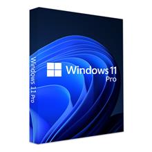 Microsoft Windows 11 Pro FQC-10556 64 Bit (OEM) Türkçe