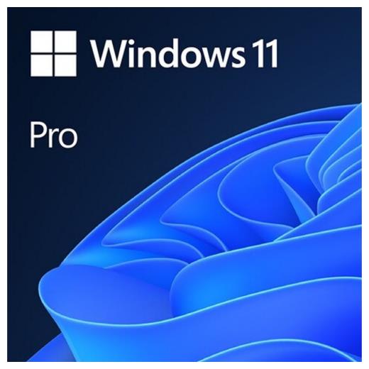 Microsoft Windows 11 Pro 32/64 Bit TR-ING ESD Elektronik Lisans (FQC-10572)
