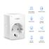 TP-LINK Tapo P100 Wi-Fi Mini Akıllı Priz (Tekli)